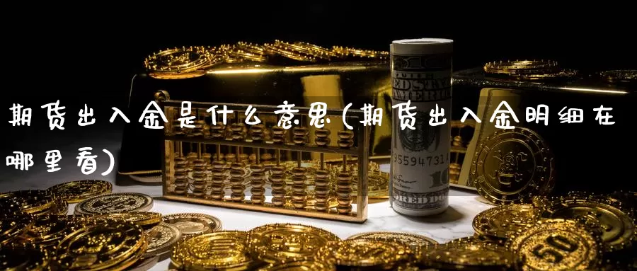 期货出入金是什么意思(期货出入金明细在哪里看)_https://hj.wpmee.com_期货资讯_第1张