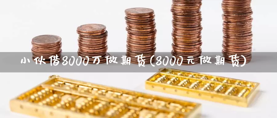 小伙借8000万做期货(8000元做期货)_https://hj.wpmee.com_外盘期货_第1张