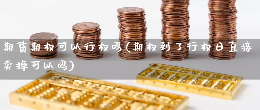 期货期权可以行权吗(期权到了行权日直接卖掉可以吗)_https://hj.wpmee.com_黄金期货_第1张