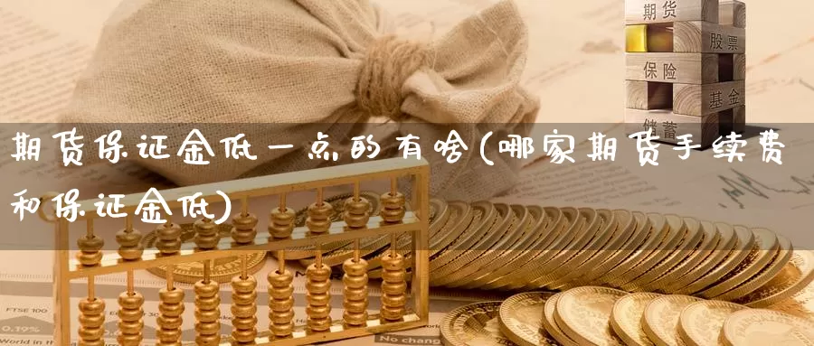 期货保证金低一点的有啥(哪家期货手续费和保证金低)_https://hj.wpmee.com_外盘期货直播间_第1张