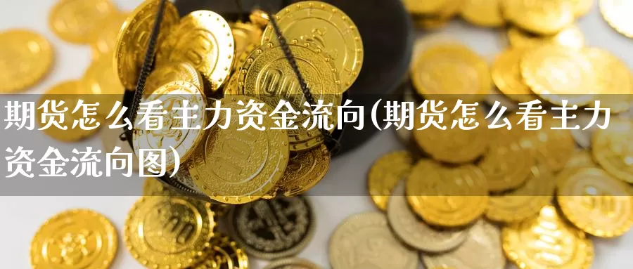 期货怎么看主力资金流向(期货怎么看主力资金流向图)_https://hj.wpmee.com_黄金期货直播室_第1张