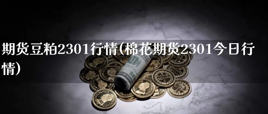 期货豆粕2301行情(棉花期货2301今日行情)_https://hj.wpmee.com_道指直播室_第1张