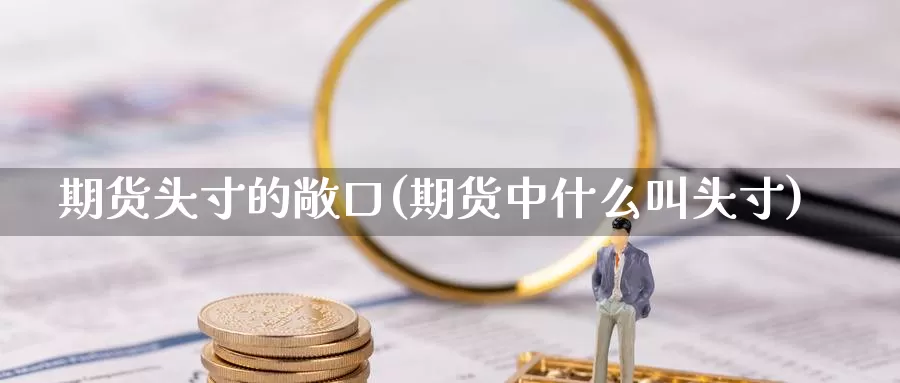 期货头寸的敞口(期货中什么叫头寸)_https://hj.wpmee.com_德指期货_第1张