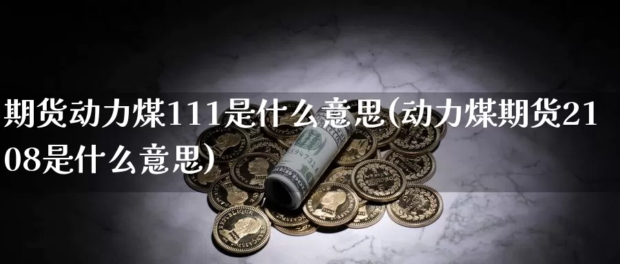 期货动力煤111是什么意思(动力煤期货2108是什么意思)_https://hj.wpmee.com_原油期货喊单_第1张