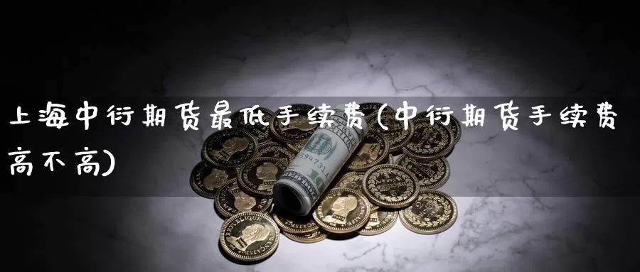 上海中衍期货最低手续费(中衍期货手续费高不高)_https://hj.wpmee.com_德指期货_第1张