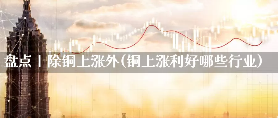 盘点丨除铜上涨外(铜上涨利好哪些行业)_https://hj.wpmee.com_德指期货_第1张