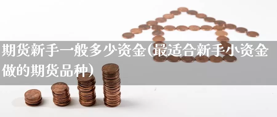 期货新手一般多少资金(最适合新手小资金做的期货品种)_https://hj.wpmee.com_原油期货_第1张