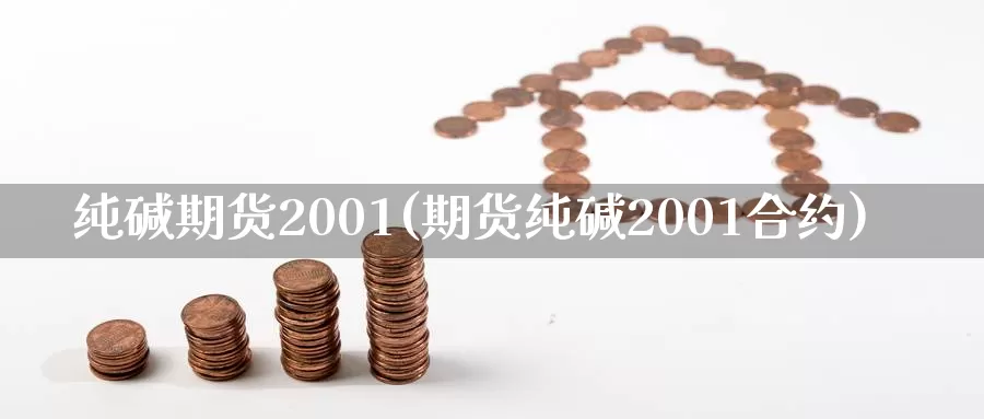 纯碱期货2001(期货纯碱2001合约)_https://hj.wpmee.com_黄金期货_第1张