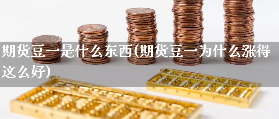 期货豆一是什么东西(期货豆一为什么涨得这么好)_https://hj.wpmee.com_黄金期货直播室_第1张