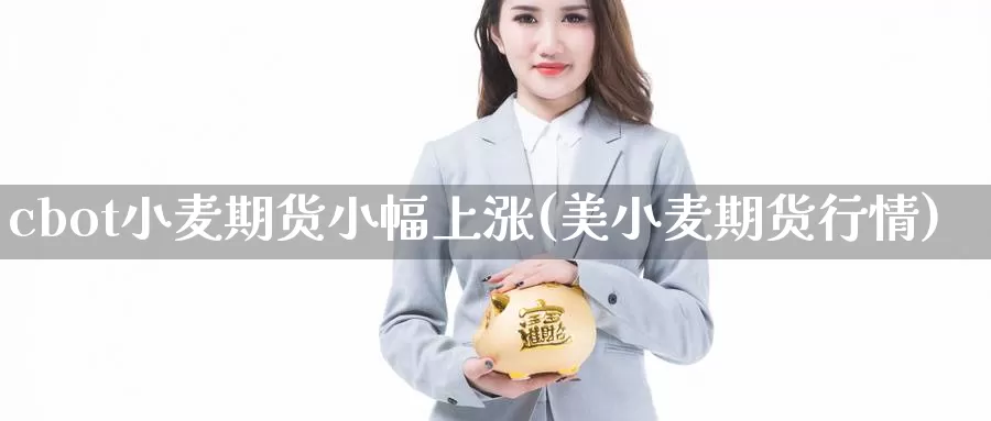 cbot小麦期货小幅上涨(美小麦期货行情)_https://hj.wpmee.com_原油期货喊单_第1张