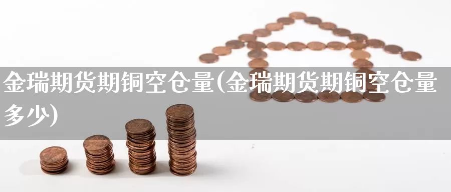 金瑞期货期铜空仓量(金瑞期货期铜空仓量多少)_https://hj.wpmee.com_纳指直播室_第1张