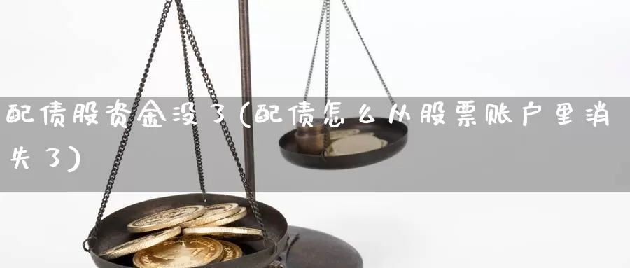 配债股资金没了(配债怎么从股票账户里消失了)_https://hj.wpmee.com_恒指喊单_第1张