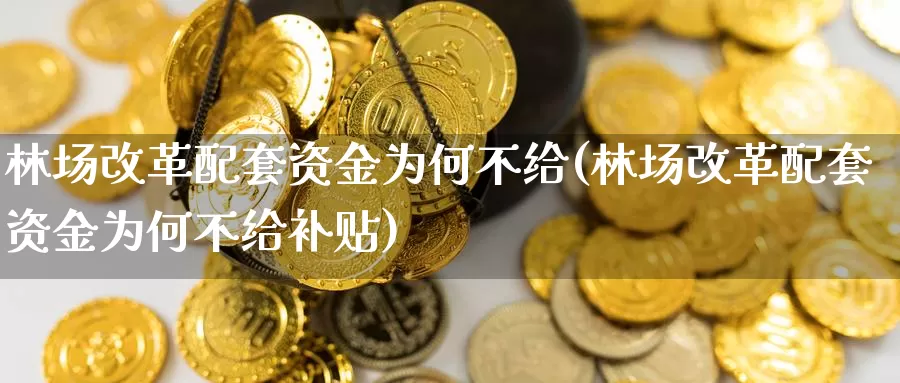 林场改革配套资金为何不给(林场改革配套资金为何不给补贴)_https://hj.wpmee.com_道指直播室_第1张