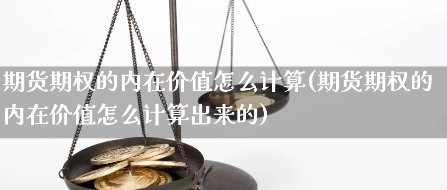 期货期权的内在价值怎么计算(期货期权的内在价值怎么计算出来的)_https://hj.wpmee.com_纳指直播室_第1张