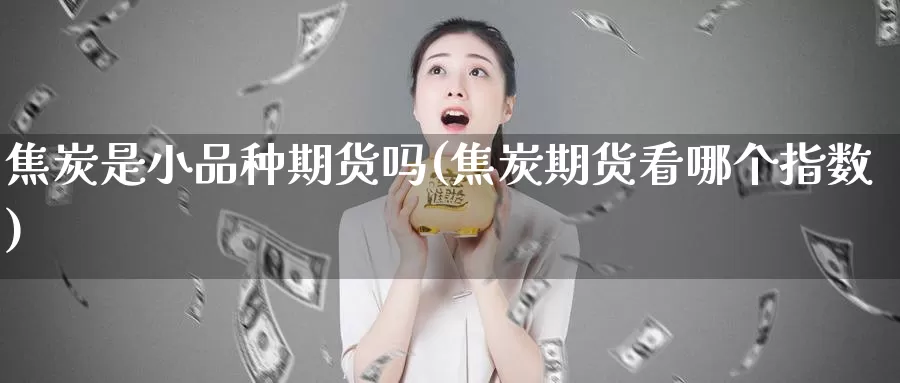 焦炭是小品种期货吗(焦炭期货看哪个指数)_https://hj.wpmee.com_黄金期货直播室_第1张