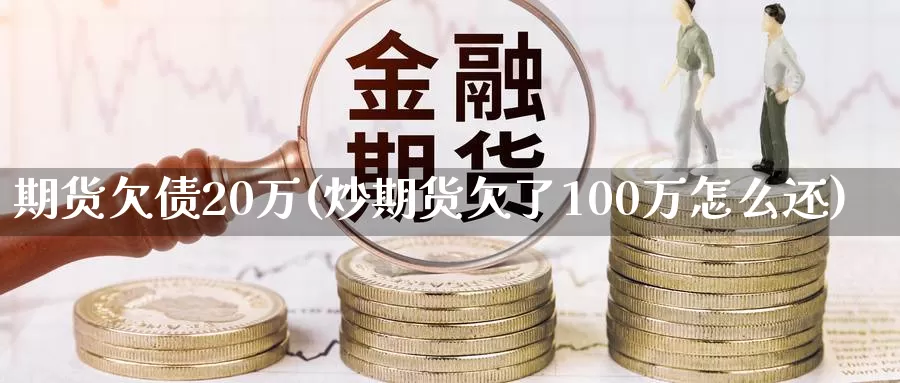 期货欠债20万(炒期货欠了100万怎么还)_https://hj.wpmee.com_德指期货_第1张