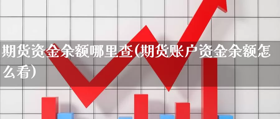 期货资金余额哪里查(期货账户资金余额怎么看)_https://hj.wpmee.com_期货资讯_第1张