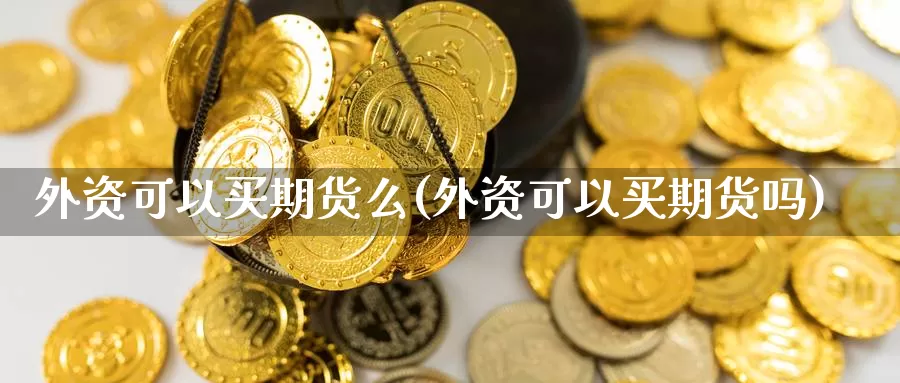 外资可以买期货么(外资可以买期货吗)_https://hj.wpmee.com_德指期货_第1张