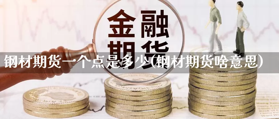 钢材期货一个点是多少(钢材期货啥意思)_https://hj.wpmee.com_黄金期货直播室_第1张