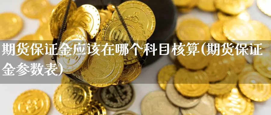 期货保证金应该在哪个科目核算(期货保证金参数表)_https://hj.wpmee.com_道指直播室_第1张