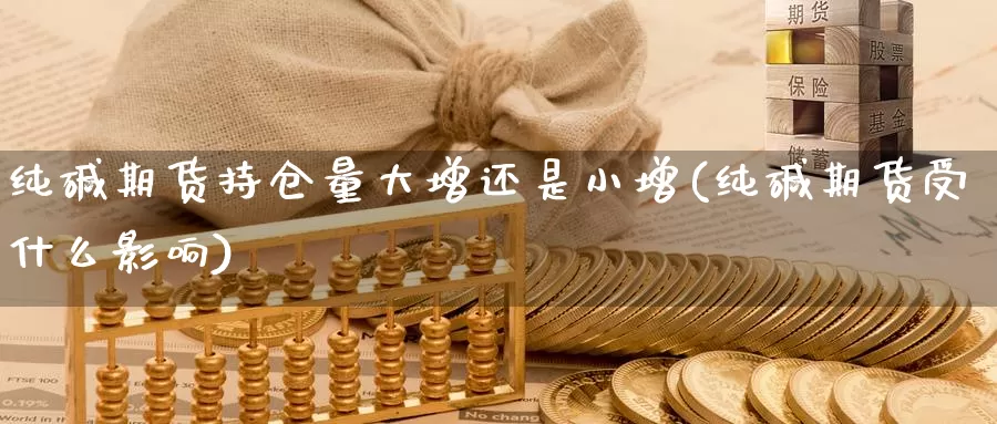 纯碱期货持仓量大增还是小增(纯碱期货受什么影响)_https://hj.wpmee.com_外盘期货_第1张