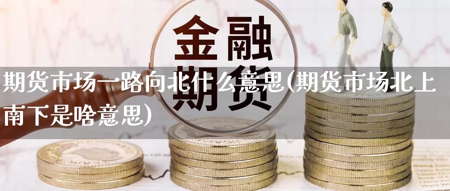 期货市场一路向北什么意思(期货市场北上南下是啥意思)_https://hj.wpmee.com_道指直播室_第1张