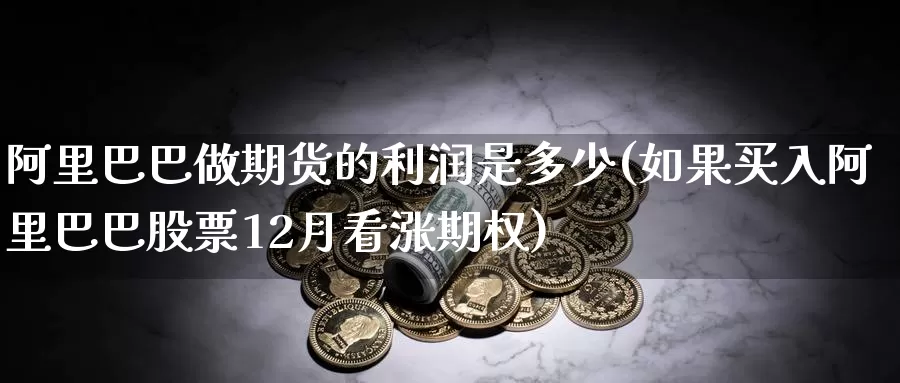 阿里巴巴做期货的利润是多少(如果买入阿里巴巴股票12月看涨期权)_https://hj.wpmee.com_黄金期货_第1张