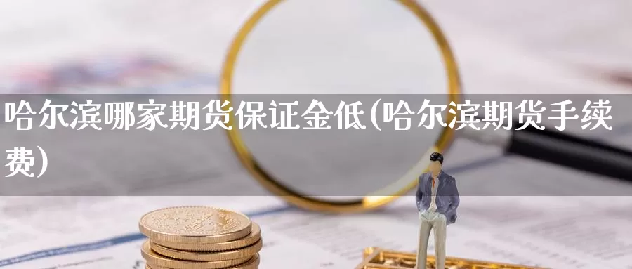 哈尔滨哪家期货保证金低(哈尔滨期货手续费)_https://hj.wpmee.com_道指直播室_第1张