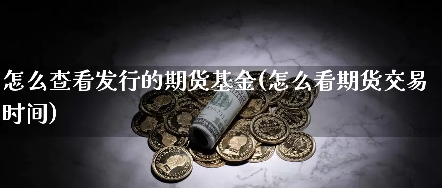 怎么查看发行的期货基金(怎么看期货交易时间)_https://hj.wpmee.com_原油期货_第1张