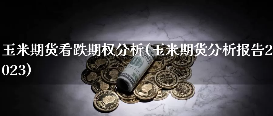 玉米期货看跌期权分析(玉米期货分析报告2023)_https://hj.wpmee.com_期货资讯_第1张