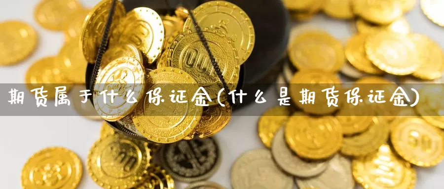 期货属于什么保证金(什么是期货保证金)_https://hj.wpmee.com_德指期货_第1张