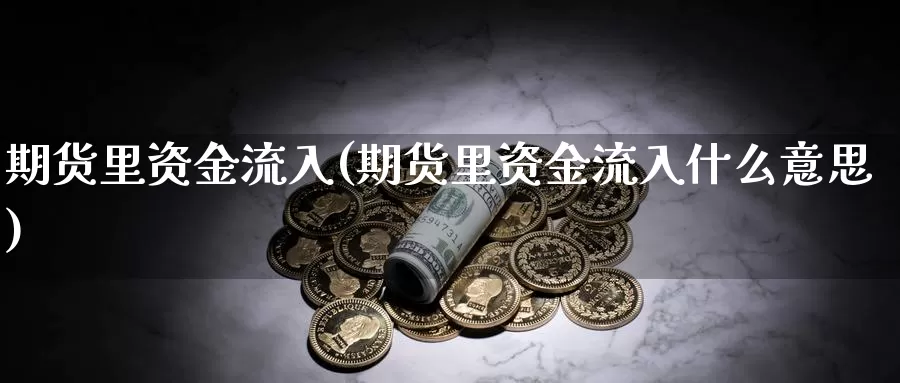 期货里资金流入(期货里资金流入什么意思)_https://hj.wpmee.com_原油期货喊单_第1张