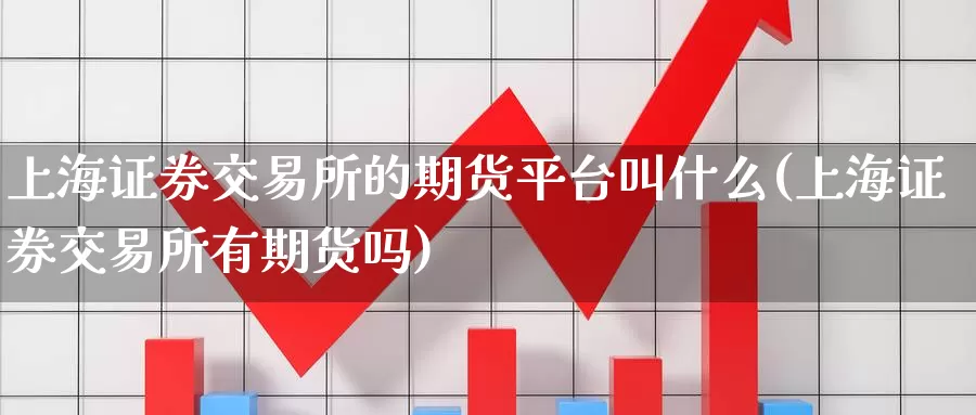 上海证券交易所的期货平台叫什么(上海证券交易所有期货吗)_https://hj.wpmee.com_道指直播室_第1张