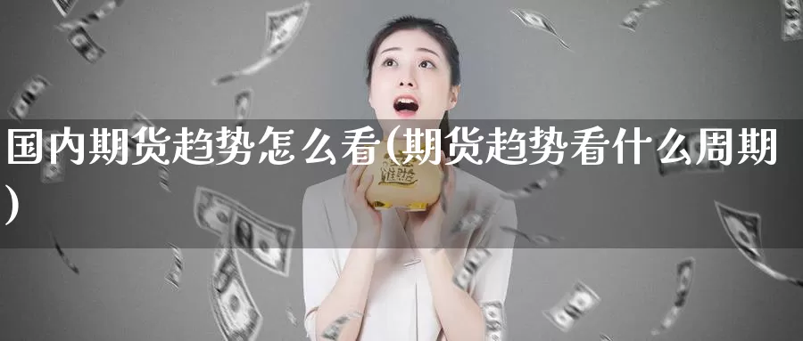 国内期货趋势怎么看(期货趋势看什么周期)_https://hj.wpmee.com_外盘期货_第1张