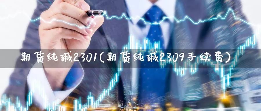 期货纯碱2301(期货纯碱2309手续费)_https://hj.wpmee.com_期货资讯_第1张