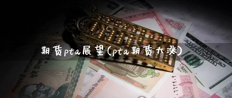 期货pta展望(pta期货大涨)_https://hj.wpmee.com_德指期货_第1张