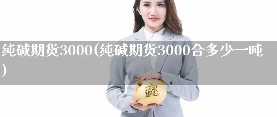 纯碱期货3000(纯碱期货3000合多少一吨)_https://hj.wpmee.com_外盘期货直播间_第1张