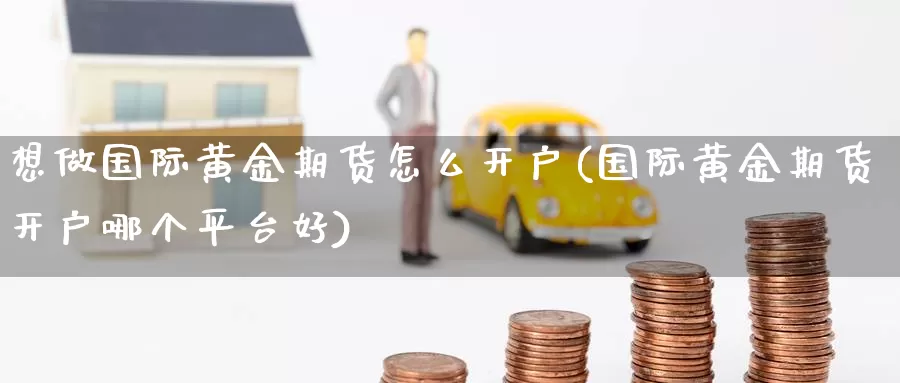 想做国际黄金期货怎么开户(国际黄金期货开户哪个平台好)_https://hj.wpmee.com_德指期货_第1张