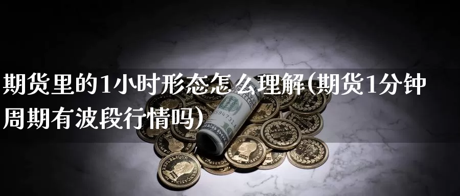 期货里的1小时形态怎么理解(期货1分钟周期有波段行情吗)_https://hj.wpmee.com_恒指喊单_第1张