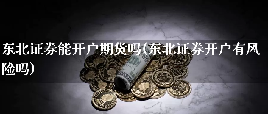 东北证券能开户期货吗(东北证券开户有风险吗)_https://hj.wpmee.com_德指期货_第1张