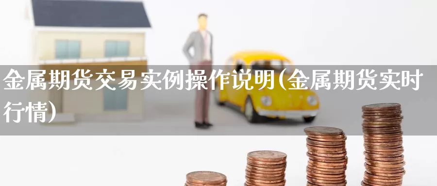 金属期货交易实例操作说明(金属期货实时行情)_https://hj.wpmee.com_原油期货喊单_第1张