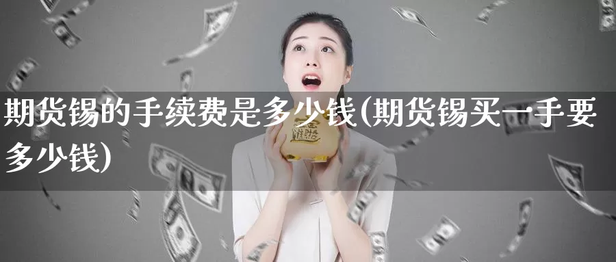 期货锡的手续费是多少钱(期货锡买一手要多少钱)_https://hj.wpmee.com_黄金期货直播室_第1张