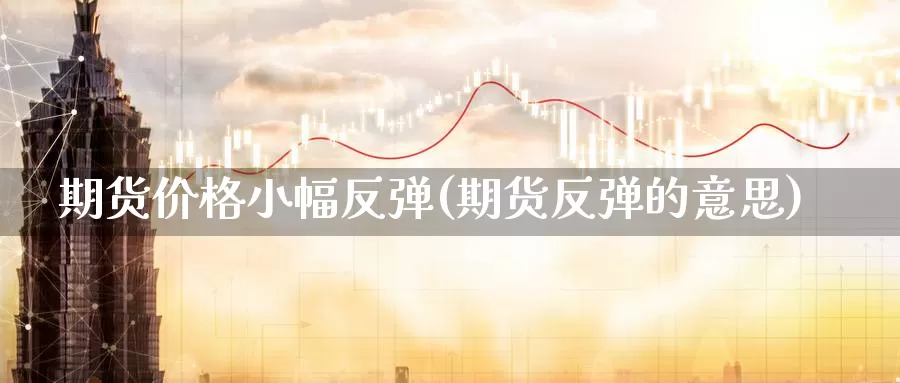 期货价格小幅反弹(期货反弹的意思)_https://hj.wpmee.com_黄金期货_第1张