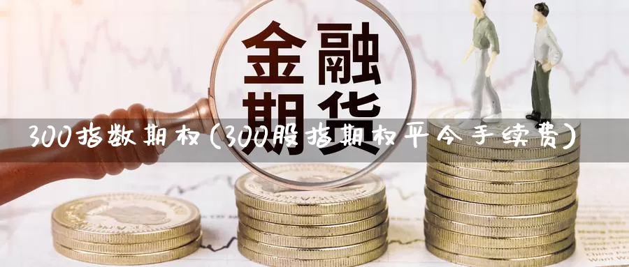 300指数期权(300股指期权平今手续费)_https://hj.wpmee.com_期货资讯_第1张