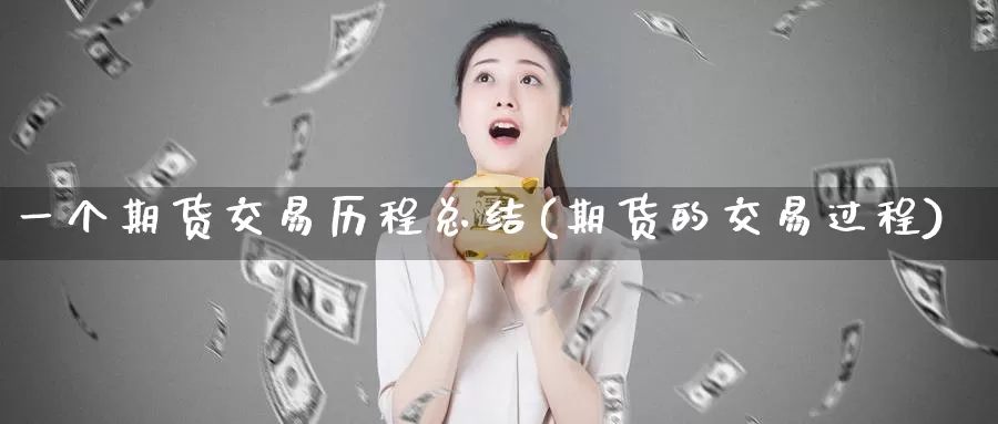 一个期货交易历程总结(期货的交易过程)_https://hj.wpmee.com_德指期货_第1张