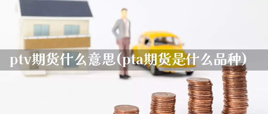 ptv期货什么意思(pta期货是什么品种)_https://hj.wpmee.com_外盘期货_第1张