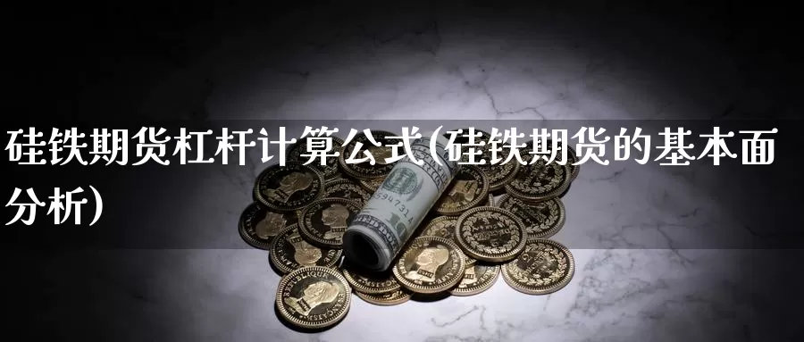 硅铁期货杠杆计算公式(硅铁期货的基本面分析)_https://hj.wpmee.com_黄金期货_第1张