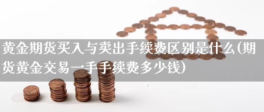 黄金期货买入与卖出手续费区别是什么(期货黄金交易一手手续费多少钱)_https://hj.wpmee.com_原油期货_第1张