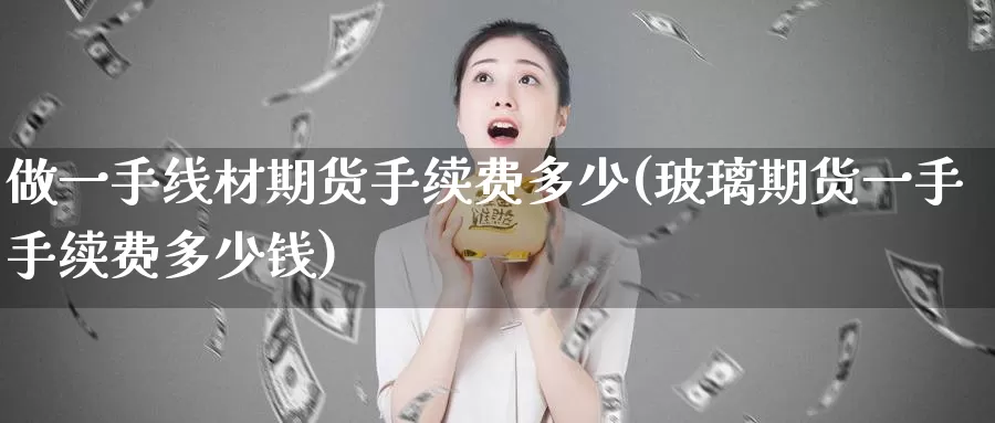 做一手线材期货手续费多少(玻璃期货一手手续费多少钱)_https://hj.wpmee.com_黄金期货_第1张