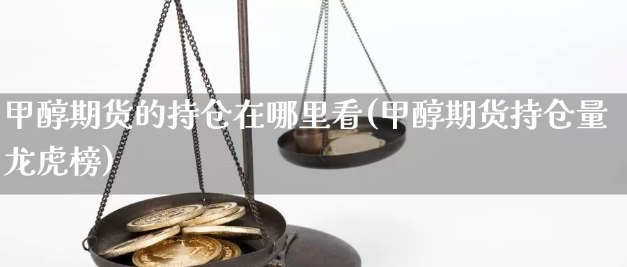 甲醇期货的持仓在哪里看(甲醇期货持仓量龙虎榜)_https://hj.wpmee.com_德指期货_第1张